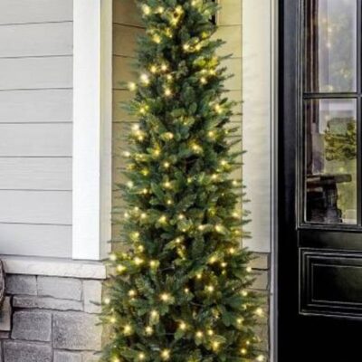 Christmas Tree World The 6Ft Indoor/Outdoor Pre-Lit Ultra Slim Mixed Pine  Ultra Realistic Christmas Trees