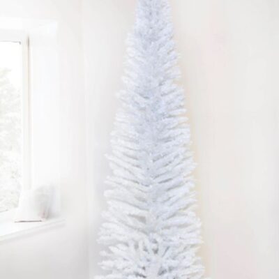 Christmas Tree World The 6Ft White Italian Pencilimo Tree  Slim Christmas Trees