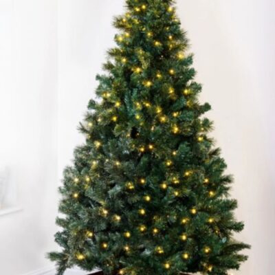 Christmas Tree World The 12Ft Pre-Lit Majestic Dew Pine Tree  Tall Christmas Trees