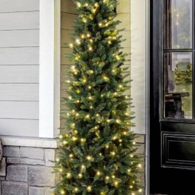 Christmas Tree World The 7Ft Indoor/Outdoor Pre-Lit Ultra Slim Mixed Pine  Ultra Realistic Christmas Trees