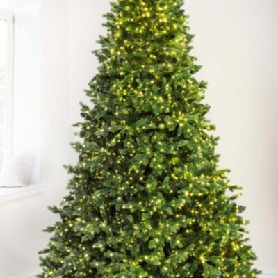 Christmas Tree World The Ultra-Lit Montagna Fir Tree (6Ft To 8Ft)  Ultra Realistic Christmas Trees