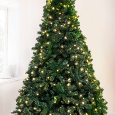 Christmas Tree World 5Ft Pre-Lit Arbor Vitae Fir Tree  5 Foot Pre Lit Christmas Trees