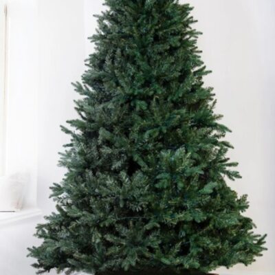 Christmas Tree World The 12Ft Woodland Pine Tree  Tall Christmas Trees