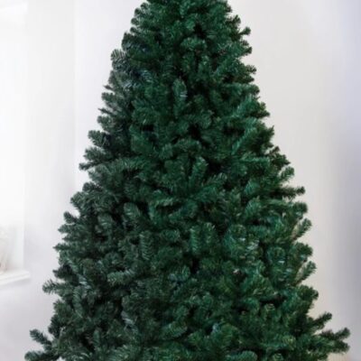 Christmas Tree World The 9Ft Arbor Vitae Fir Tree  Tall Christmas Trees