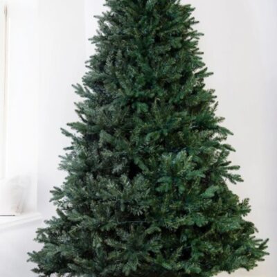 Christmas Tree World The 10Ft Woodland Pine Tree  Tall Christmas Trees