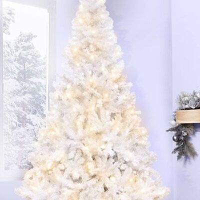 Christmas Tree World The 5Ft Pre-Lit Bianca Pine Tree With Warm White Lights  5 Foot Pre Lit Christmas Trees