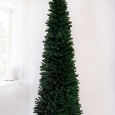 Christmas Tree World The 8Ft Green Italian Pencilimo Tree  Slim Christmas Trees