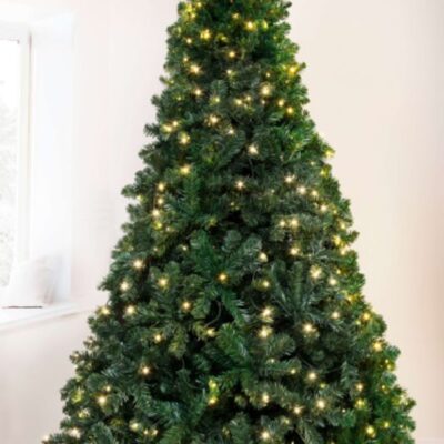 Christmas Tree World 7Ft Pre-Lit Arbor Vitae Fir Tree  Ultra Realistic Christmas Trees