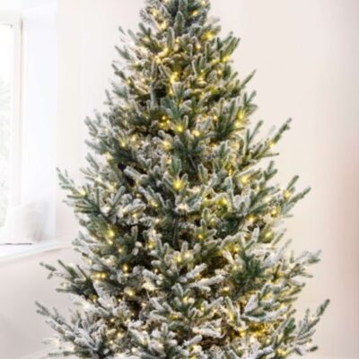 Christmas Tree World The 9Ft Pre-Lit Frosted Ultra Mountain Pine  Tall Christmas Trees