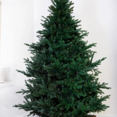 Christmas Tree World The Ultra Mountain Pine (4Ft To 8Ft)  As Seen On Tv