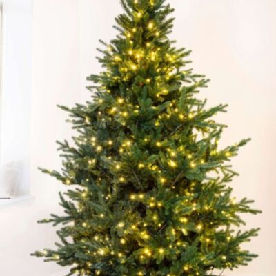 Christmas Tree World The 5Ft Pre-Lit Ultra Mountain Pine  Ultra Realistic Christmas Trees