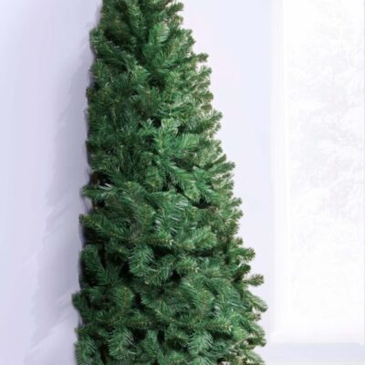 Christmas Tree World The Arbor Vitae Fir Half Tree (4Ft To 6Ft)  Traditional Christmas Trees