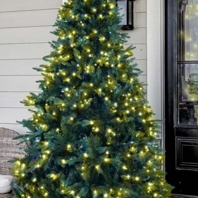 Christmas Tree World The 8Ft Pre-Lit Outdoor Woodland Pine Tree  8 Foot Pre Lit Christmas Trees