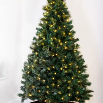 Christmas Tree World The Pre-Lit Majestic Dew Pine Tree (3Ft To 12Ft)  Bushy Christmas Trees