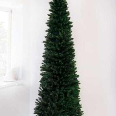 Christmas Tree World The 6Ft Green Italian Pencilimo Tree  Slim Christmas Trees