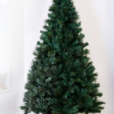 Christmas Tree World The Majestic Dew Pine Tree (3Ft To 10Ft)  Bushy Christmas Trees