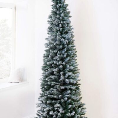 Christmas Tree World The 7Ft Snowy Pencil Tree  Slim Christmas Trees