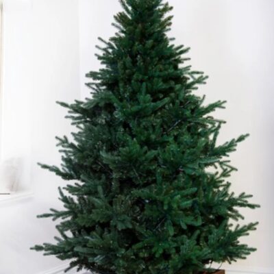 Christmas Tree World The 6Ft Ultra Mountain Pine  Ultra Realistic Christmas Trees