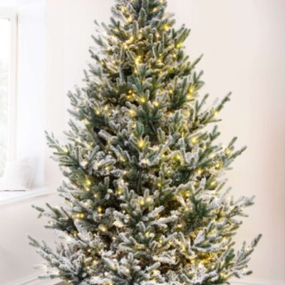 Christmas Tree World The 10Ft Pre-Lit Frosted Ultra Mountain Pine  Tall Christmas Trees