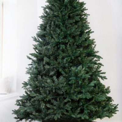 Christmas Tree World The 14Ft Woodland Pine Tree  Tall Christmas Trees