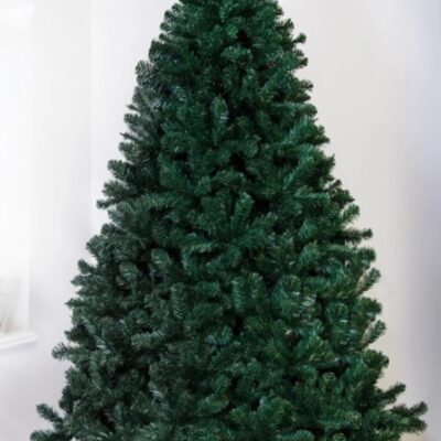 Christmas Tree World The Arbor Vitae Fir Tree (4Ft To 20Ft)  Bushy Christmas Trees