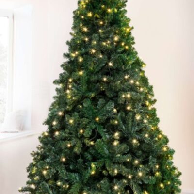 Christmas Tree World 8Ft Pre-Lit Arbor Vitae Fir Tree  8 Foot Pre Lit Christmas Trees