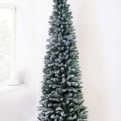 Christmas Tree World The Snowy Pencil Tree (6Ft-7Ft)  Slim Christmas Trees