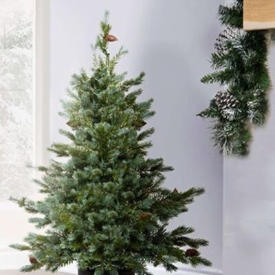 Christmas Tree World The 3Ft Cairngorm Pine Potted Tree (Indoor/Outdoor)  Ultra Realistic Christmas Trees