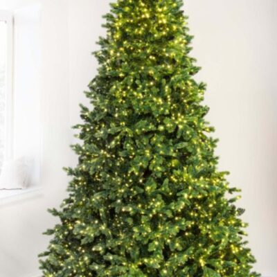 Christmas Tree World The 6Ft Ultra-Lit Montagna Fir Tree  Ultra Realistic Christmas Trees