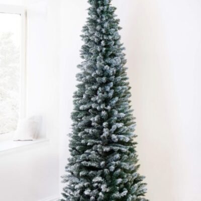 Christmas Tree World The 6Ft Snowy Pencil Tree  Slim Christmas Trees