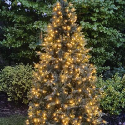 Christmas Tree World The Pre-Lit Outdoor Woodland Pine Tree  Ultra Realistic Christmas Trees