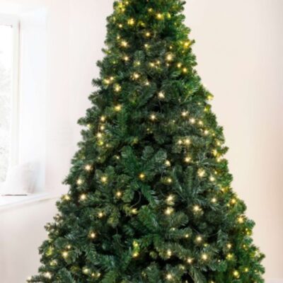 Christmas Tree World 6Ft Pre-Lit Arbor Vitae Fir Tree  6 Foot Pre Lit Christmas Trees