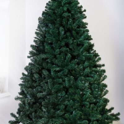 Christmas Tree World The 10Ft Arbor Vitae Fir Tree  Tall Christmas Trees